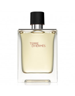 Hermes Terre Hermes - 100ML